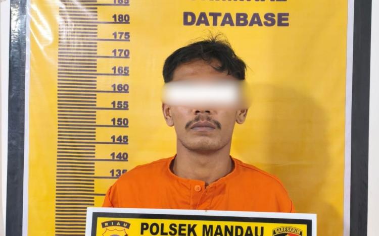 DPO Kasus Sabu Ditangkap di Bathin Solapan, Polsek Mandau Terus Kejar Jaringan Narkotika